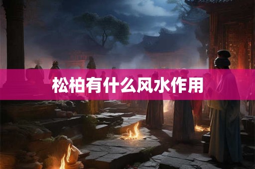 松柏有什么风水作用