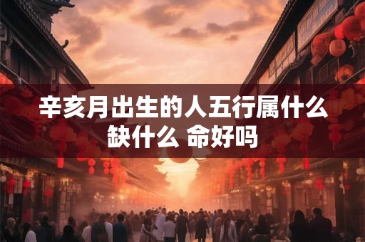 辛亥月出生的人五行属什么缺什么 命好吗