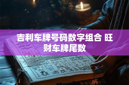 吉利车牌号码数字组合 旺财车牌尾数