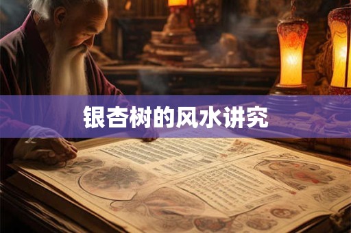 银杏树的风水讲究