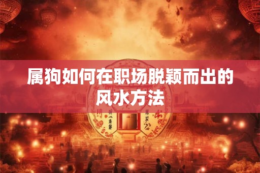 属狗如何在职场脱颖而出的风水方法