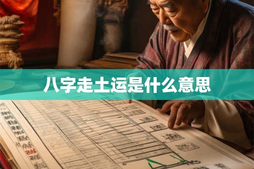 面相狮子鼻是啥样 狮子鼻的人命运好不好