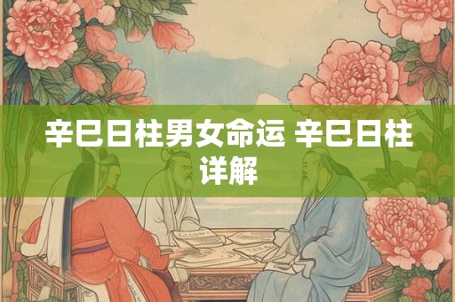 辛巳日柱男女命运 辛巳日柱详解
