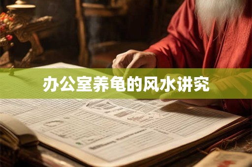 办公室养龟的风水讲究