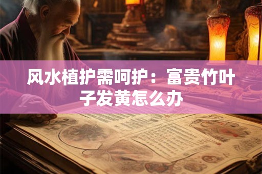 详细阅读:风水植护需呵护:富贵竹叶子发黄怎么办 风水植护需呵护:富贵竹叶子发黄怎么办
