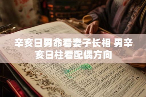 辛亥日男命看妻子长相 男辛亥日柱看配偶方向