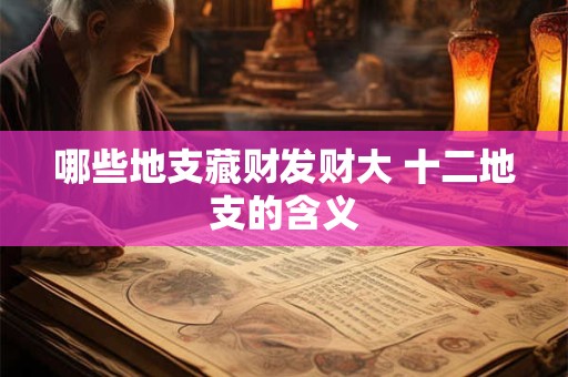 哪些地支藏财发财大 十二地支的含义