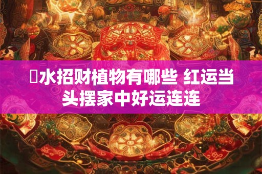 详细阅读:風水招财植物有哪些 红运当头摆家中好运连连 風水招财植物有哪些 红运当头摆家中好运连连