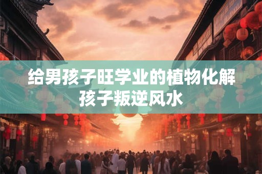 给男孩子旺学业的植物化解孩子叛逆风水