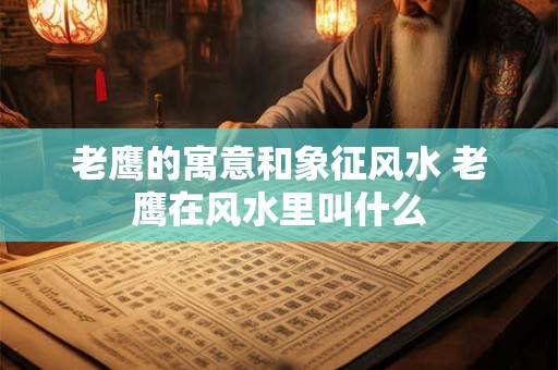 老鹰的寓意和象征风水 老鹰在风水里叫什么
