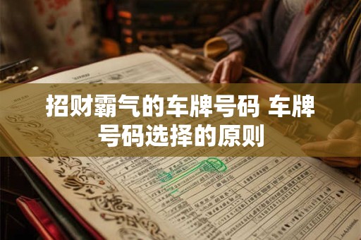 招财霸气的车牌号码 车牌号码选择的原则