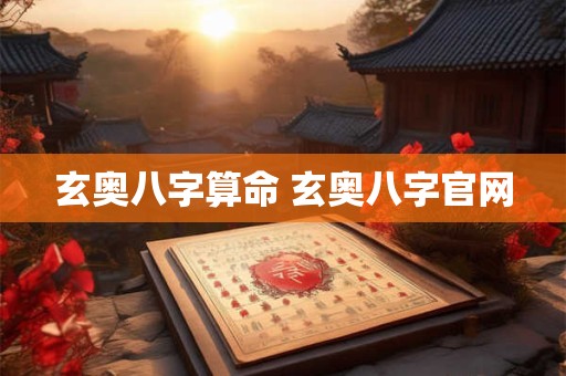 玄奥八字算命 玄奥八字官网