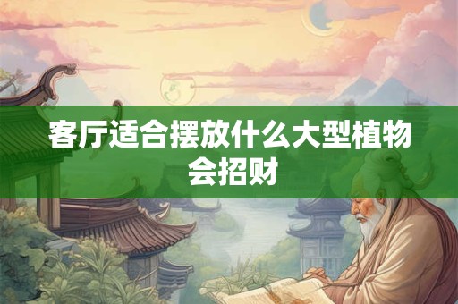 客厅适合摆放什么大型植物 会招财