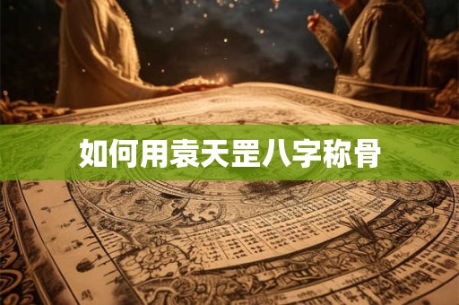 如何用袁天罡八字称骨