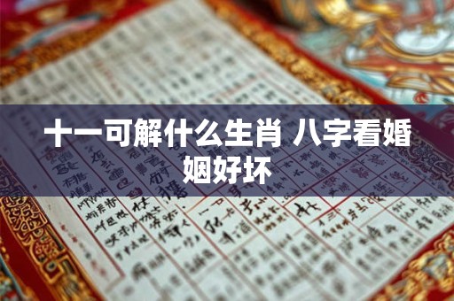 十一可解什么生肖 八字看婚姻好坏