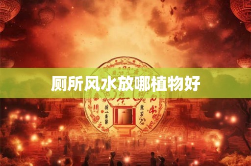 厕所风水放哪植物好