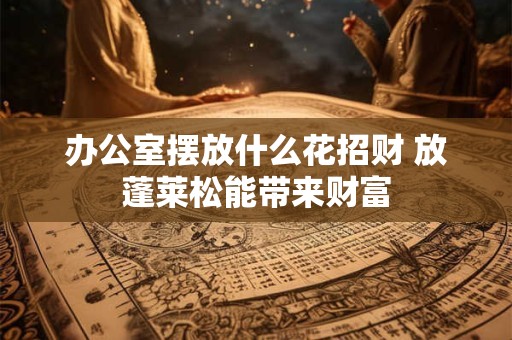 办公室摆放什么花招财 放蓬莱松能带来财富