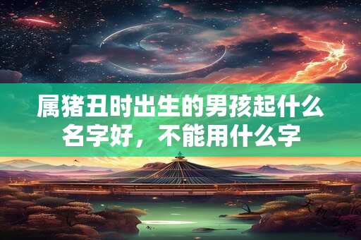 属猪丑时出生的男孩起什么名字好，不能用什么字