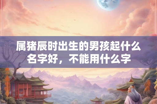 属猪辰时出生的男孩起什么名字好，不能用什么字