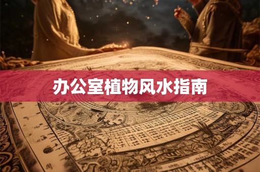 办公室植物风水指南
