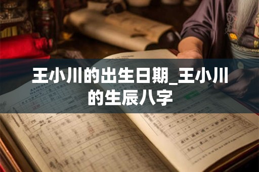 王小川的出生日期_王小川的生辰八字