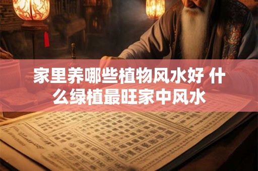 家里养哪些植物风水好 什么绿植最旺家中风水