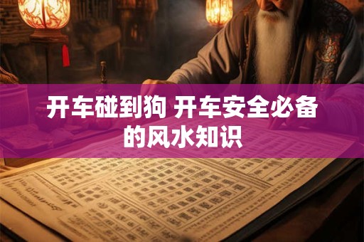 开车碰到狗 开车安全必备的风水知识
