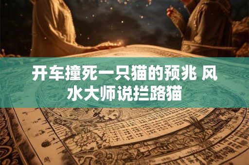 开车撞死一只猫的预兆 风水大师说拦路猫