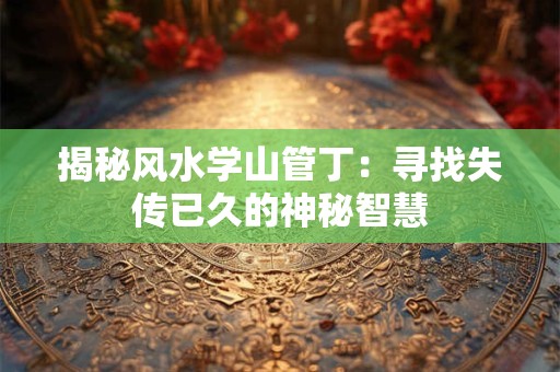 揭秘风水学山管丁：寻找失传已久的神秘智慧