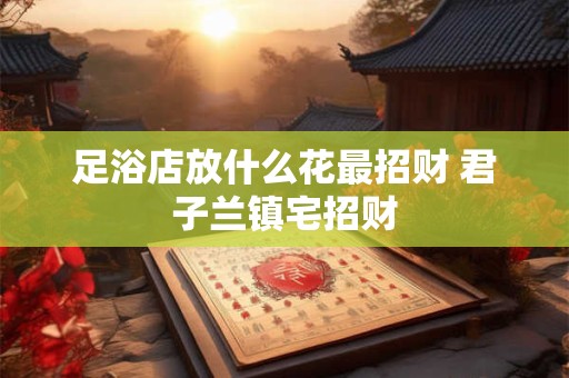 足浴店放什么花最招财 君子兰镇宅招财