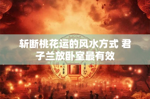 斩断桃花运的风水方式 君子兰放卧室最有效