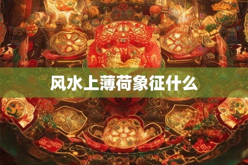 风水上薄荷象征什么