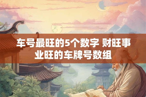 车号最旺的5个数字 财旺事业旺的车牌号数组