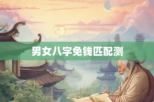 男女八字免钱匹配测