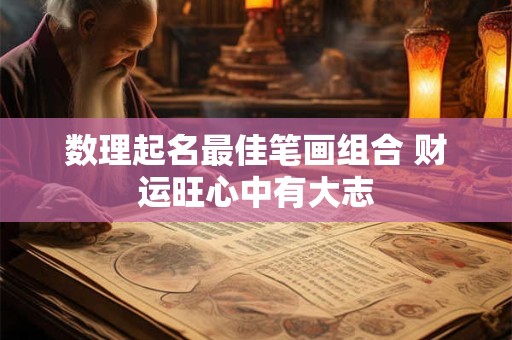 数理起名最佳笔画组合 财运旺心中有大志