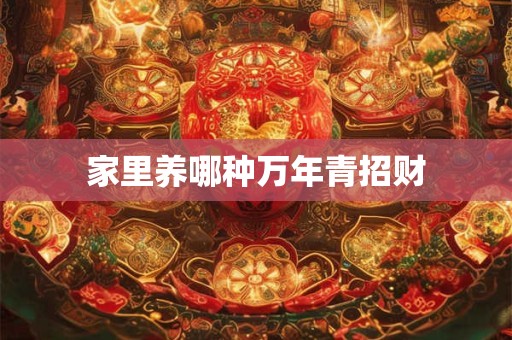 家里养哪种万年青招财