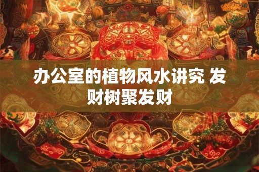 办公室的植物风水讲究 发财树聚发财