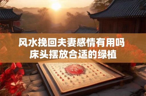 风水挽回夫妻感情有用吗 床头摆放合适的绿植