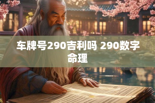 车牌号290吉利吗 290数字命理