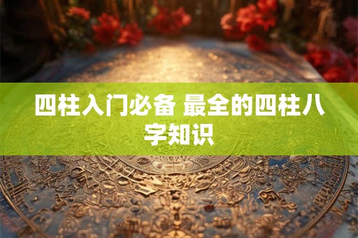 四柱入门必备 最全的四柱八字知识