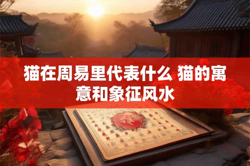 猫在周易里代表什么 猫的寓意和象征风水