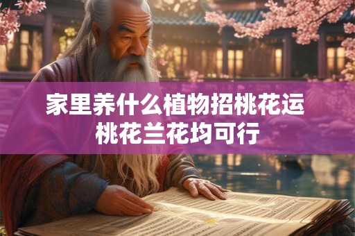 家里养什么植物招桃花运 桃花兰花均可行