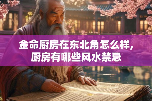 金命厨房在东北角怎么样,厨房有哪些风水禁忌