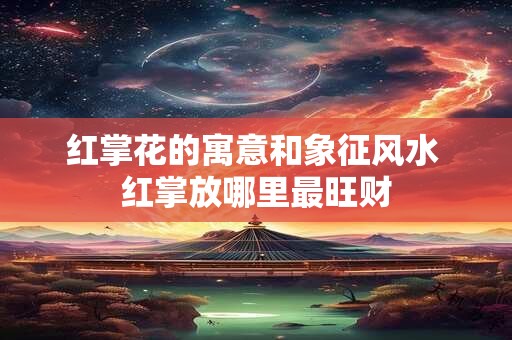 红掌花的寓意和象征风水 红掌放哪里最旺财