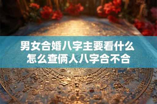 详细阅读:男女合婚八字主要看什么 怎么查俩人八字合不合 男女合婚八字主要看什么 怎么查俩人八字合不合