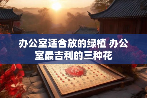 办公室适合放的绿植 办公室最吉利的三种花