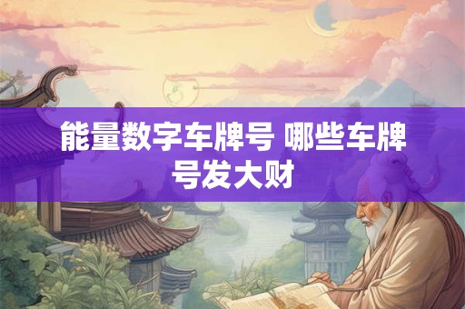 详细阅读:能量数字车牌号 哪些车牌号发大财 能量数字车牌号 哪些车牌号发大财
