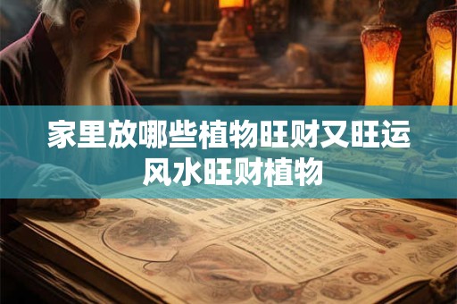 家里放哪些植物旺财又旺运 风水旺财植物