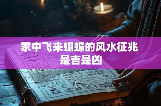 家中飞来蝴蝶的风水征兆 是吉是凶