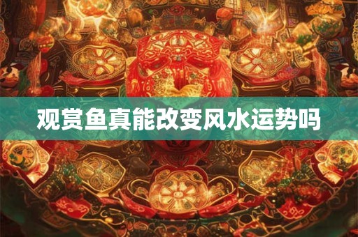 观赏鱼真能改变风水运势吗